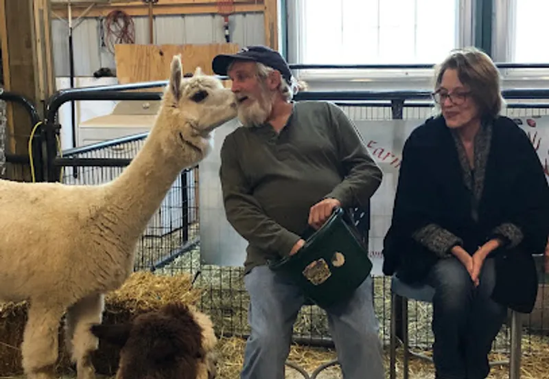 Sippican River Alpaca Farm