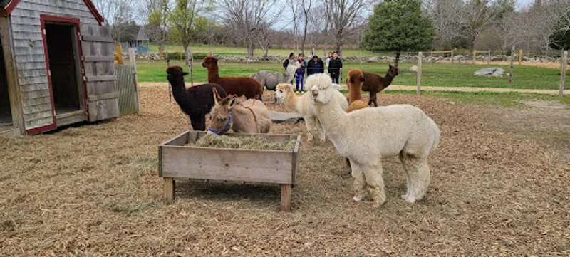 Hope Alpaca Farm LLC