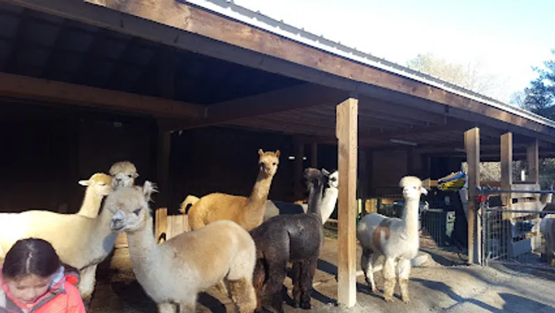 Green River Alpaca