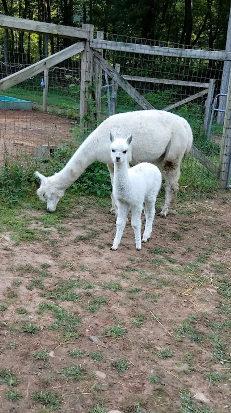 Aussakita Acres Farm